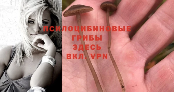 кокс Армянск