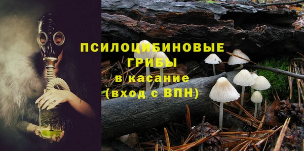 гидропоника Снежногорск
