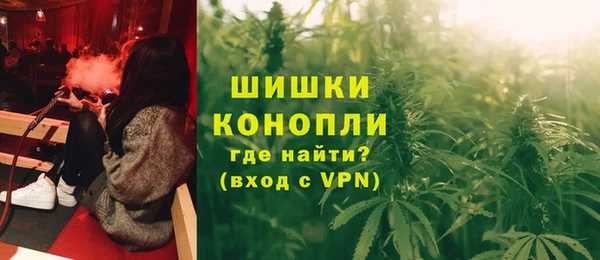 гидропоника Снежногорск
