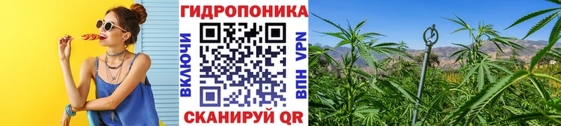 Бошки марихуана индика  купить  сайты  Армянск 